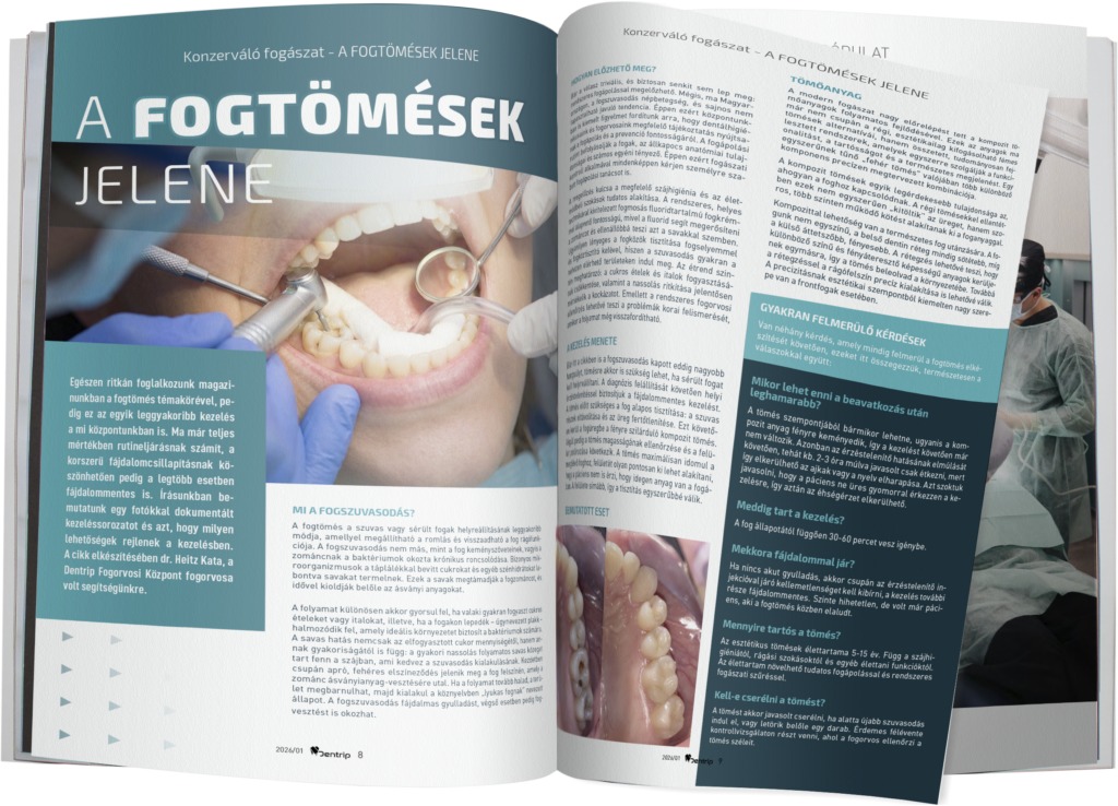 dentrip_magazine_2026_nyar copy